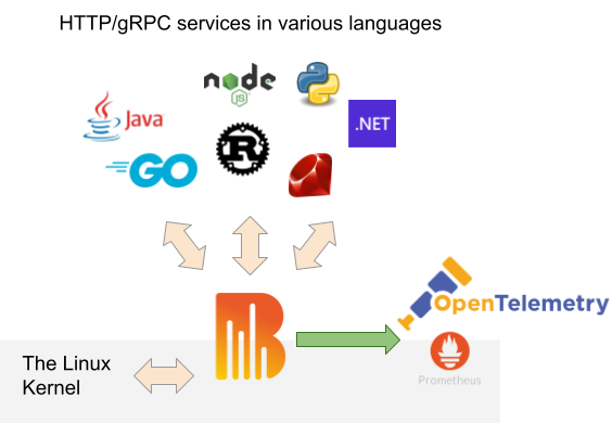 Diagram with logos showing multi-process support in Grafana Beyla