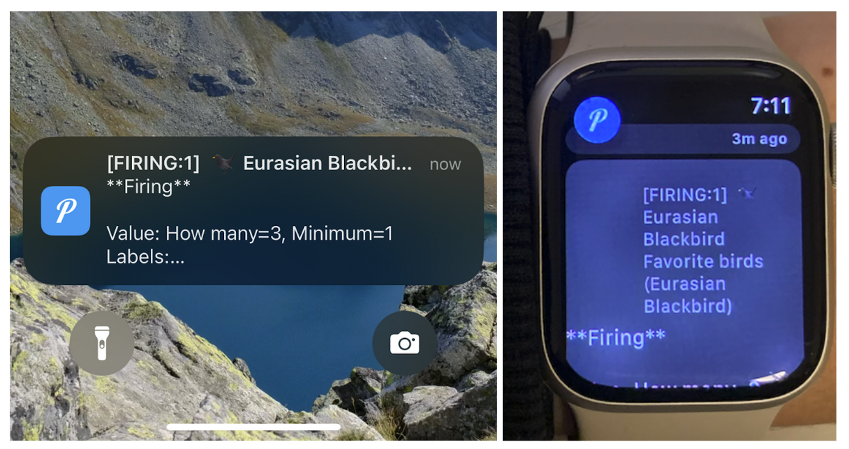 Firing alert notification